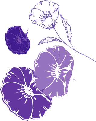 Flowers illustration