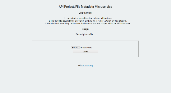 File Metadata Microservice