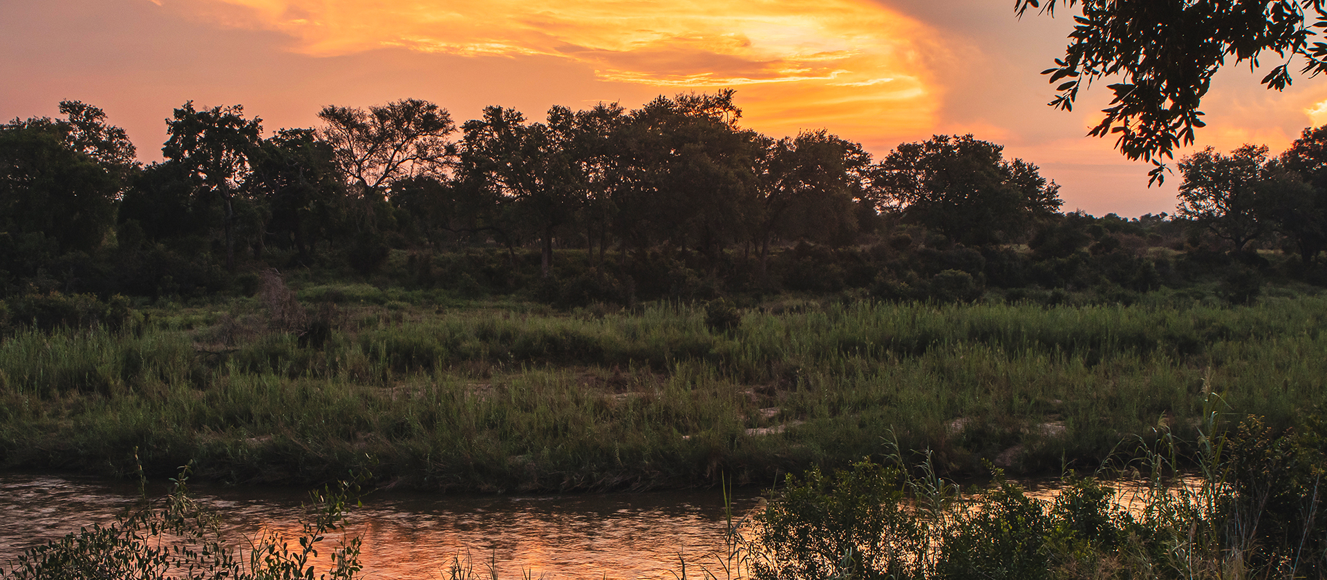 Full Width Image