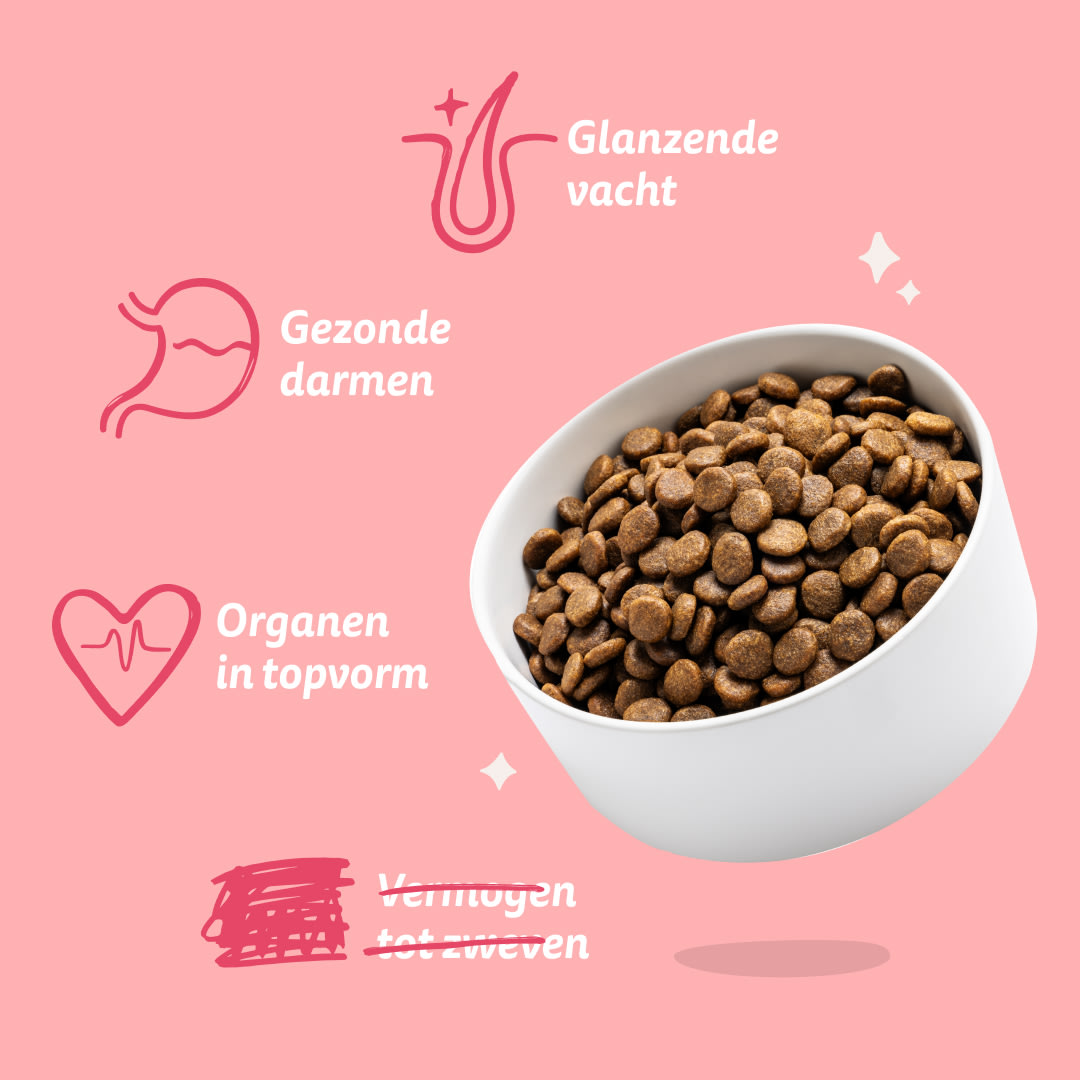 Edgard & Cooper Droogvoer voor volwassen honden, biologisch, glutenvrij