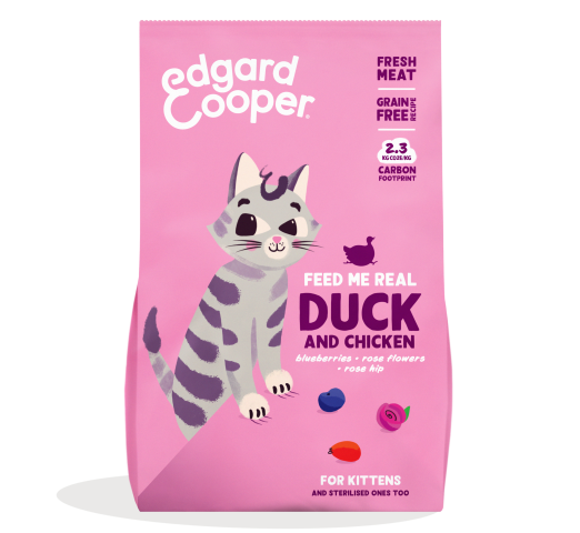 Pack - Cat Junior Kibble Duck Chicken EN