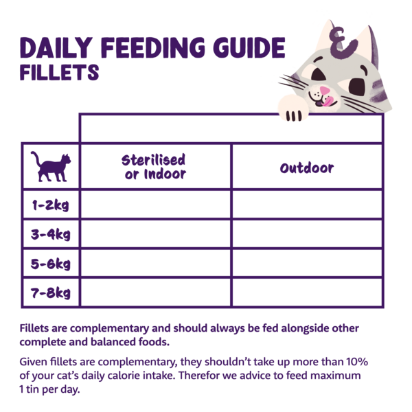 Feeding guidelines - Cat - Fillets - EN