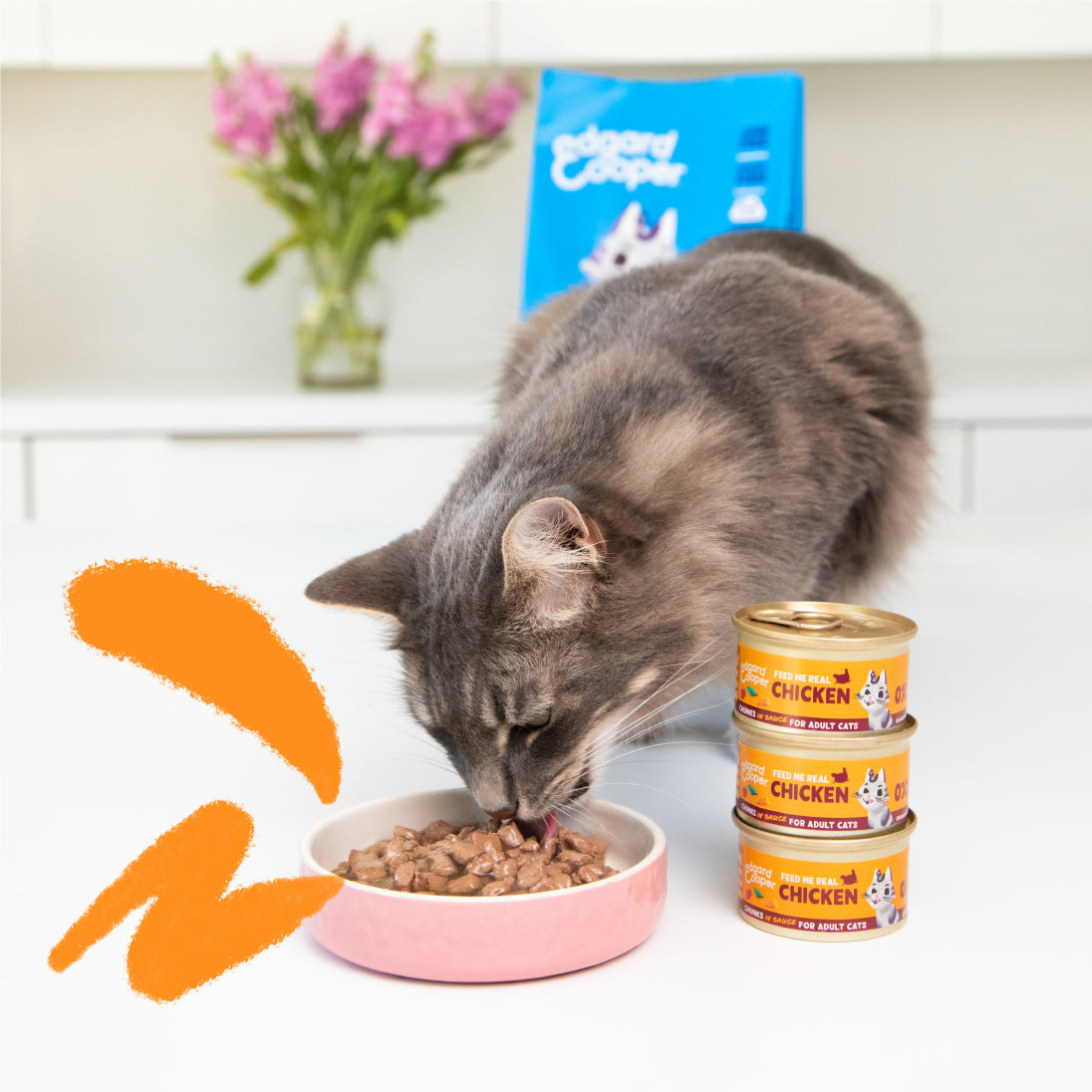 Lifestyle - Cat Adult Chunks Chicken EN