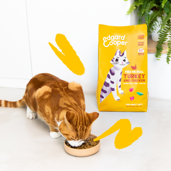 Edgard & Cooper Comida Húmeda Gatos Esterilizados o Activos Gato Adulto  Trozos en Salsa Natural Sin Cereales Latas 85g x 18 (Pavo, 85g x 18)