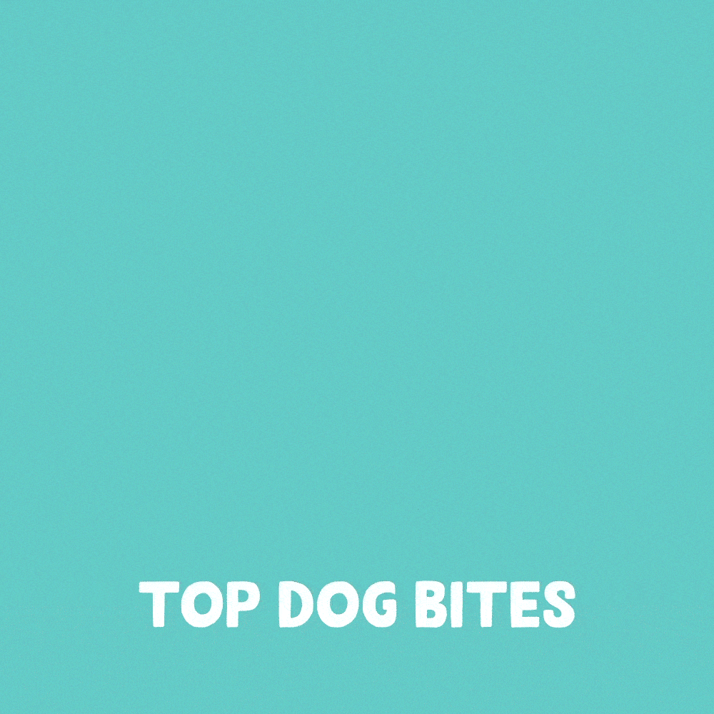 GIF Top Dog Bites - Vergleich Small & Large
