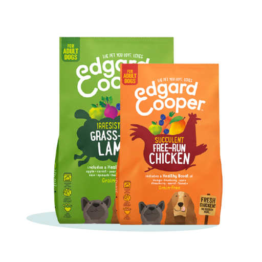 DogsDryFood EN