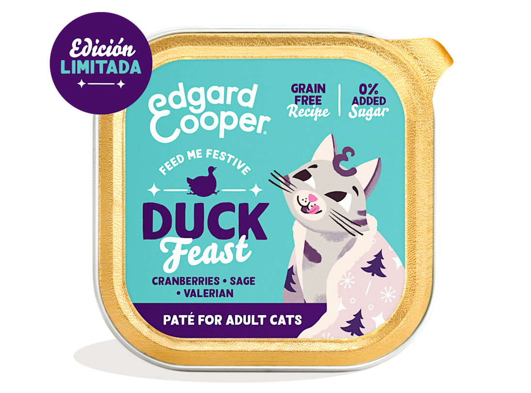 EC 2023 Cat Festive Cup 85g Export ES