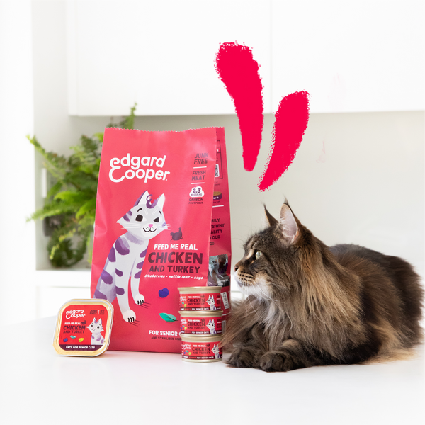 Edgard & Cooper Comida Húmeda Gatos Esterilizados o Activos Gato Adulto  Trozos en Salsa Natural Sin Cereales Latas 85g x 18 (Pollo, 85g x 18) :  : Productos para mascotas