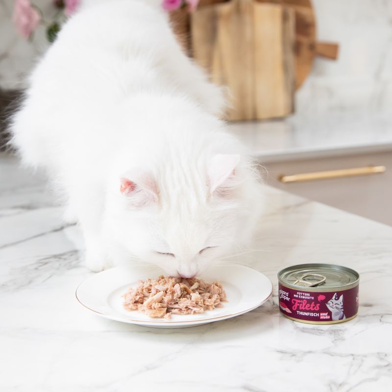 Lifestyle - Cat Fillets Tuna Chicken DE