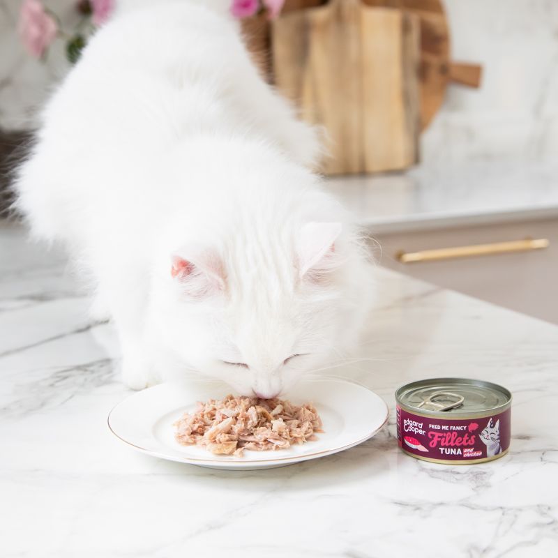 Lifestyle - Cat Fillets Tuna Chicken EN