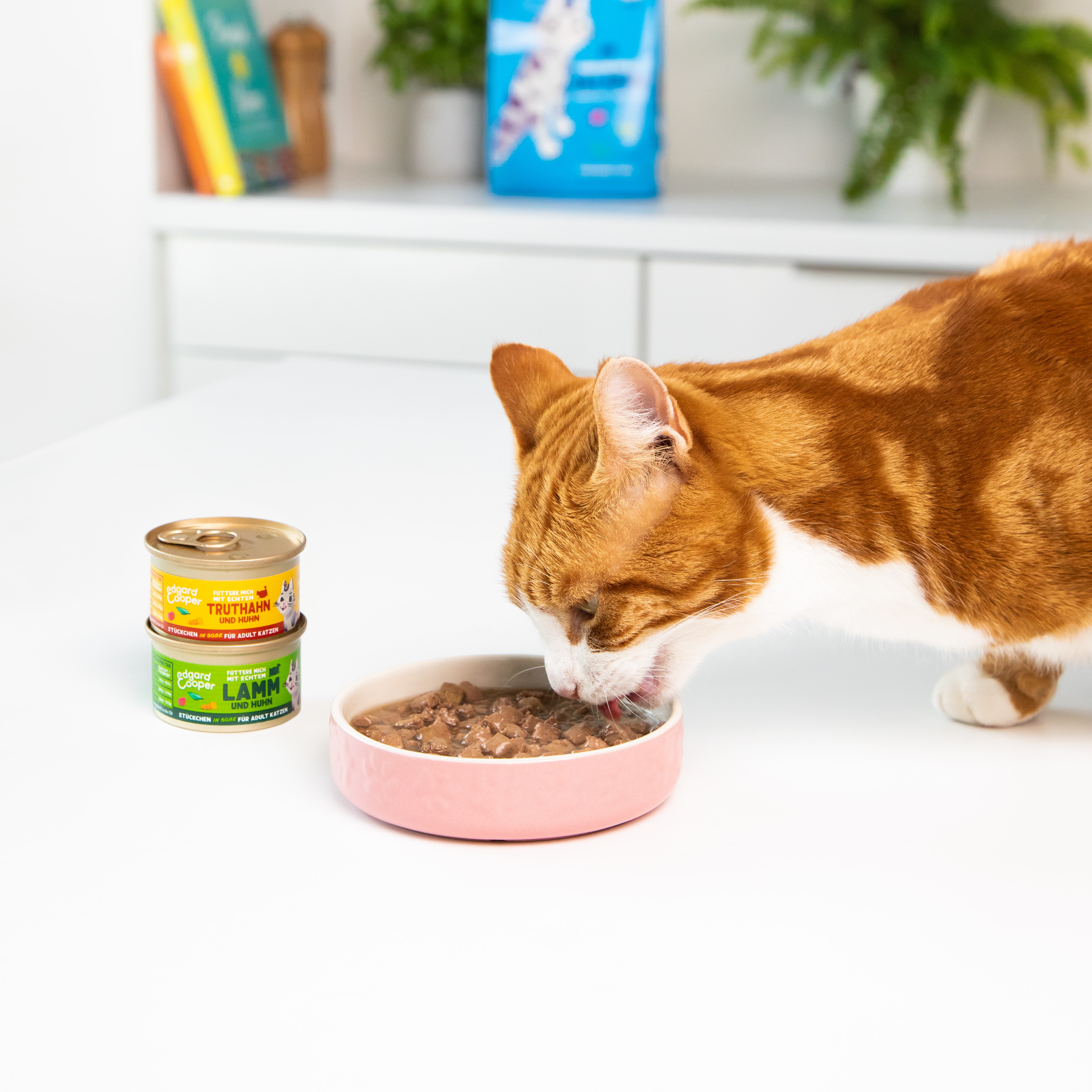 Edgard Cooper Paté Für Hunde (Ente & Huhn) – 300 G, Getreidefrei, Natürliche Ernährung