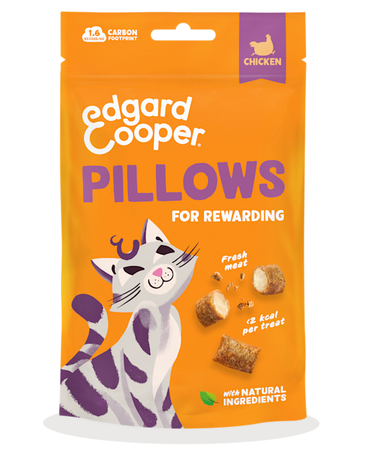 Pack - Cat All Pillows Chicken EN