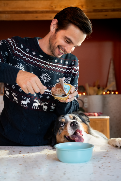 Lifestyle - DOG_AD_PATE_TURKEY55-FESTIVE_X1_EN 1