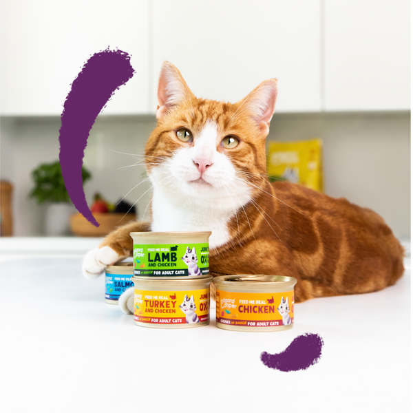 Lamb and Chicken Grain-Free Chunks In Gravy for Cats | Edgard & Cooper - Cat Food Made With Lamb And Duck Bladderwrack