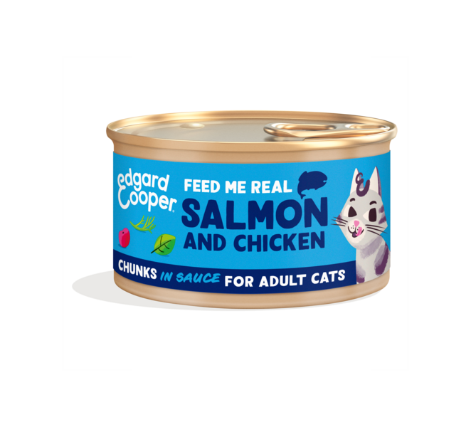 Can you feed cats canned clearance salmon