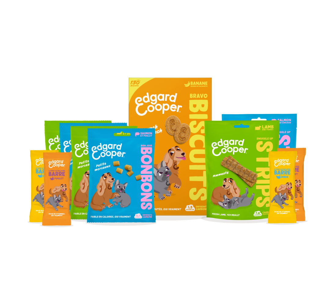 Dog Treats Variety Bundle - FR