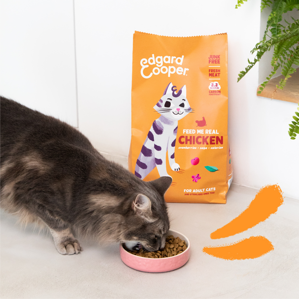 Edgard & Cooper Comida Húmeda Gatos Esterilizados o Activos Gato Adulto  Trozos en Salsa Natural Sin Cereales Latas 85g x 18 (Pollo, 85g x 18) :  : Productos para mascotas