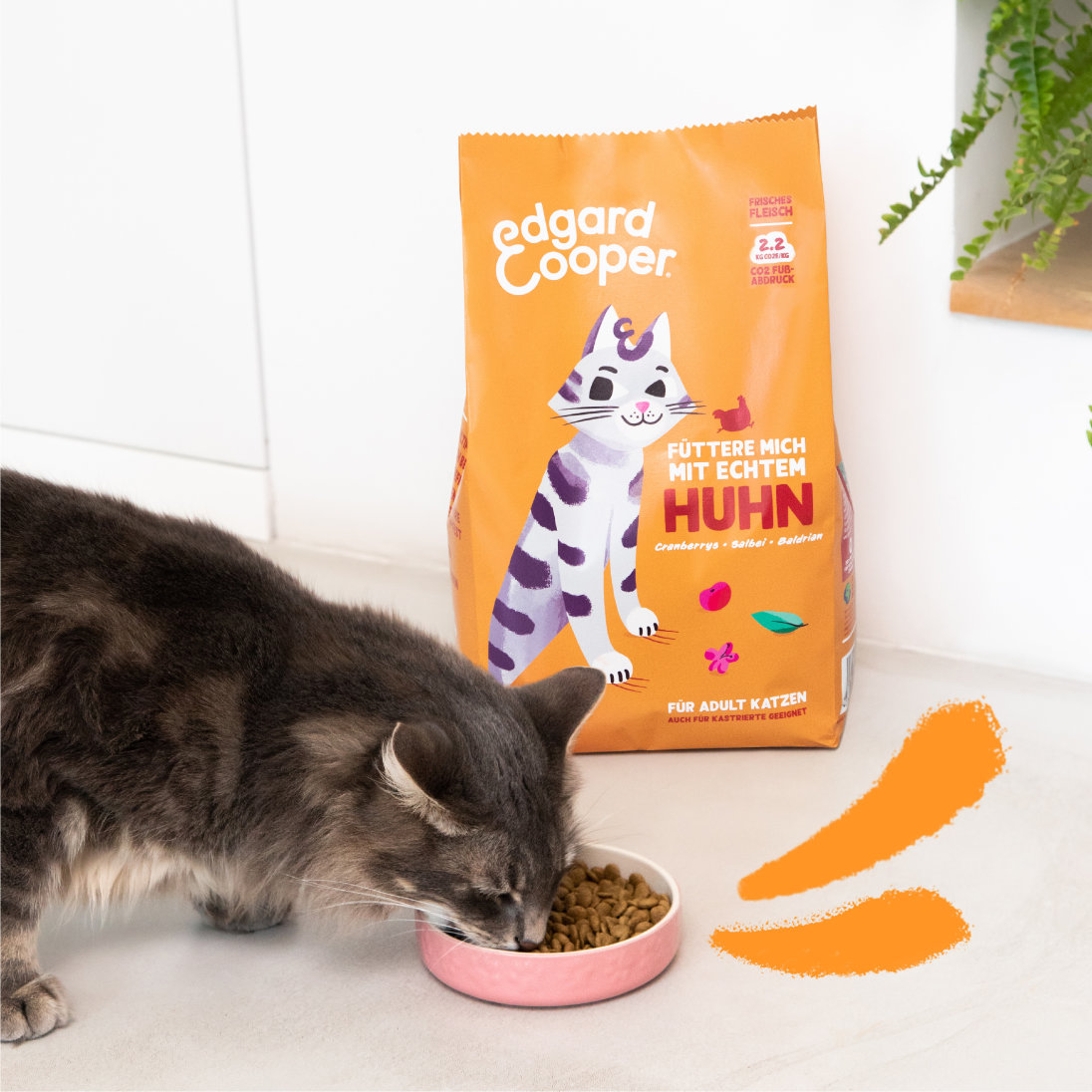 Lifestyle - Cat Adult Kibble Chicken DE