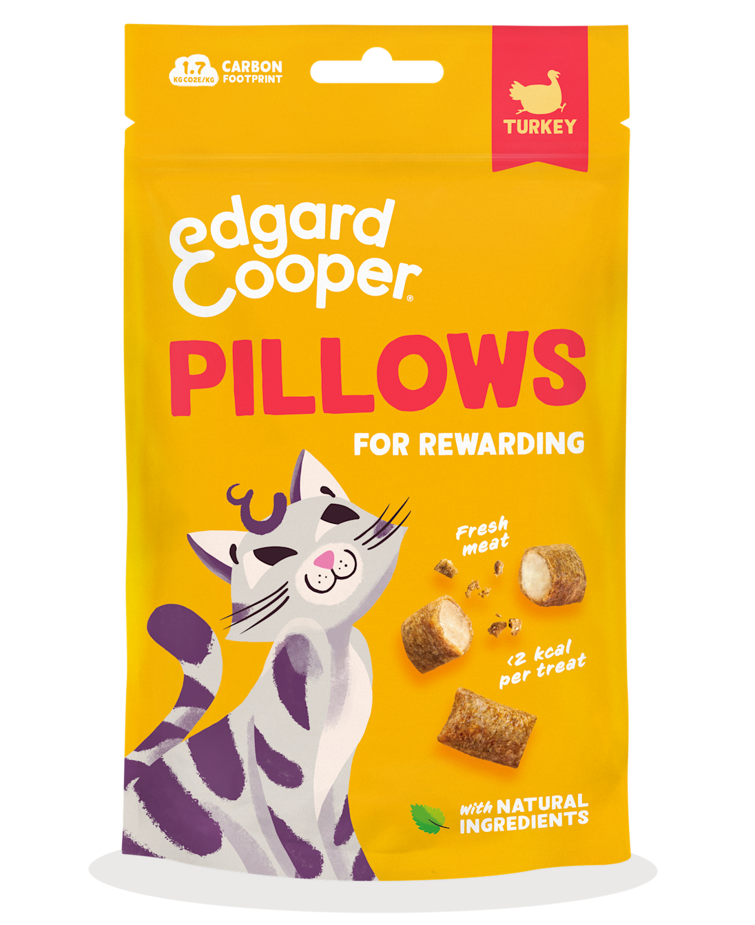 Pack - Cat All Pillows Turkey EN