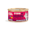 Pack - Cat Senior Chunks Chicken Turkey DE