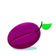 Ingredient - Plum