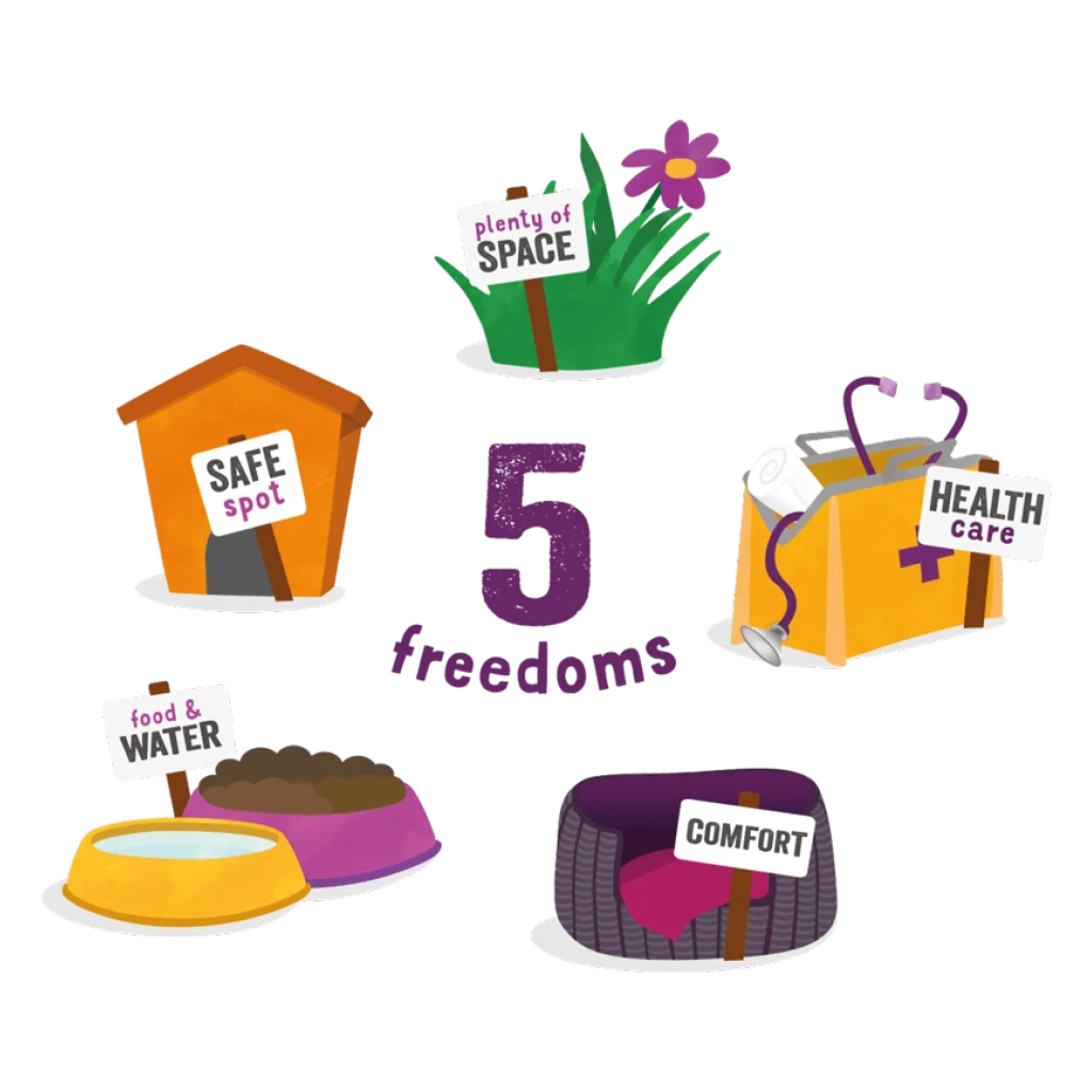 5Freedoms EN