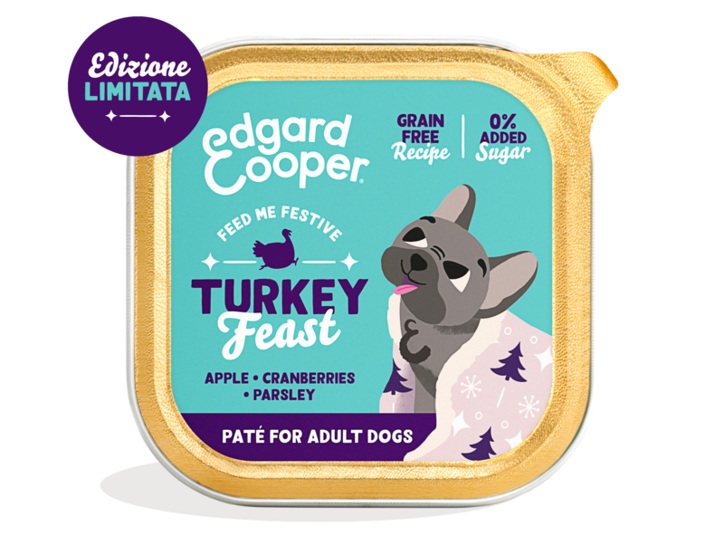 Pack - DOG_AD_PATE_TURKEY55-FESTIVE_X1_IT