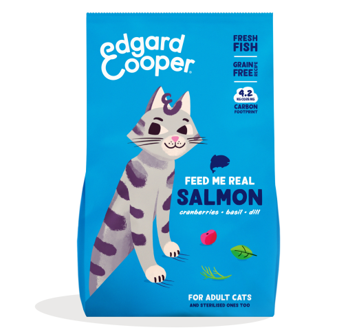 Pack - Cat Adult Kibble Salmon EN