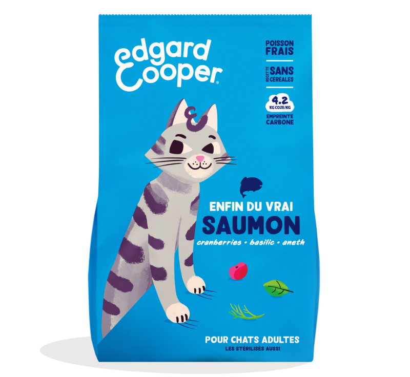 Cat Adult Kibble Salmon FR