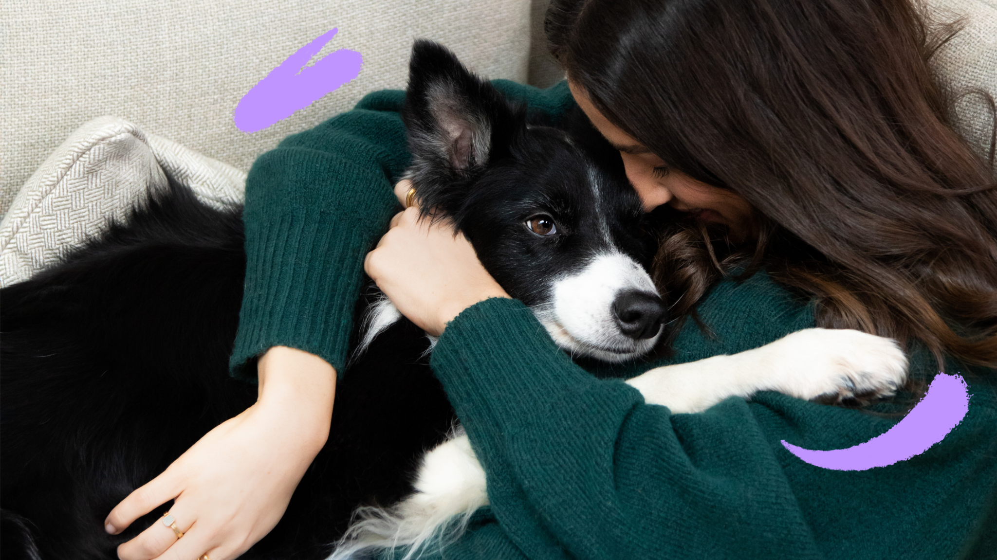 Le razze canine più intelligenti in circolazione