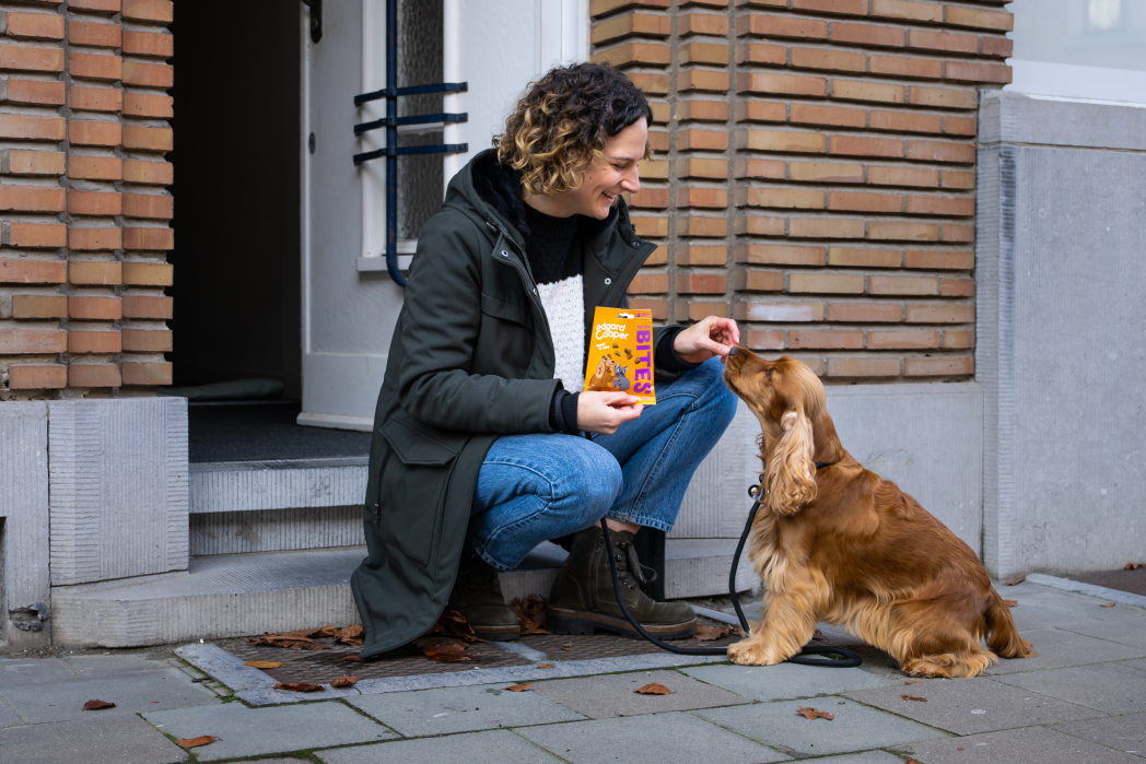 Lifestyle - Dog All Bites Chicken EN