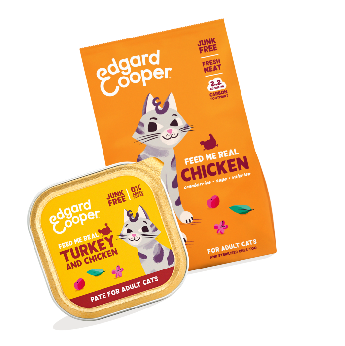 Alimentation du chat > Pâtées ou filets naturels Chat Chaton > Pâtée pour  chat à la viande fraîche Poulet 16 x 85 g Edgard et Cooper : Albert le chien