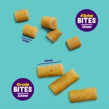 EC 2023 Bites sizes NL