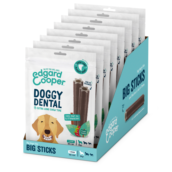 Pack - Dog - Adult - Dental - Mint & Strawberry - Large - Tray - EN