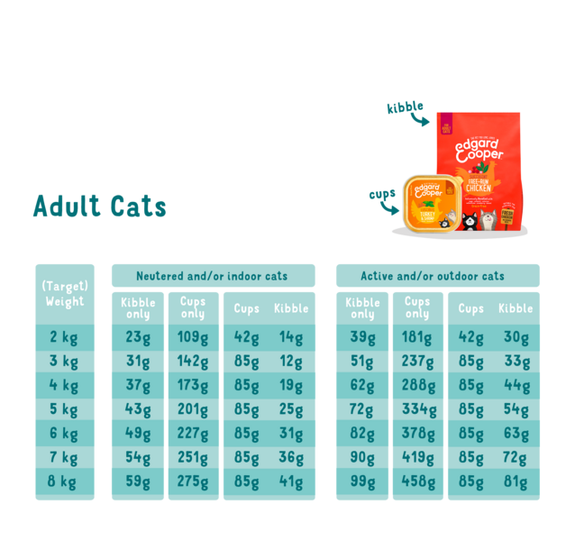 Feeding guidelines - Cat - Adult - EN