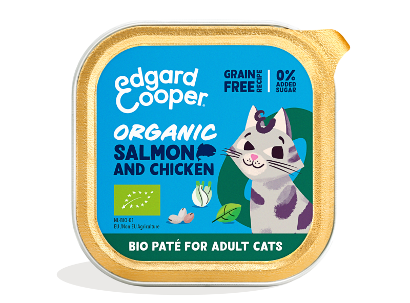 Pack - Cat Adult Pate Organic Salmon Chicken EN