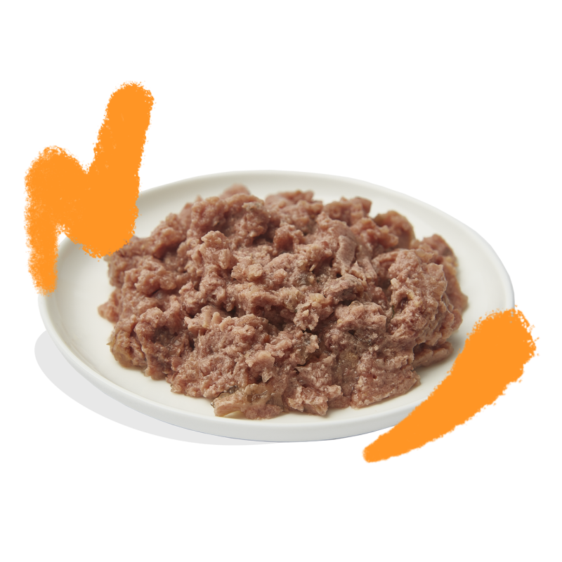 BIOFOOD patè 100% carne di pollo BIO per cani e gatti