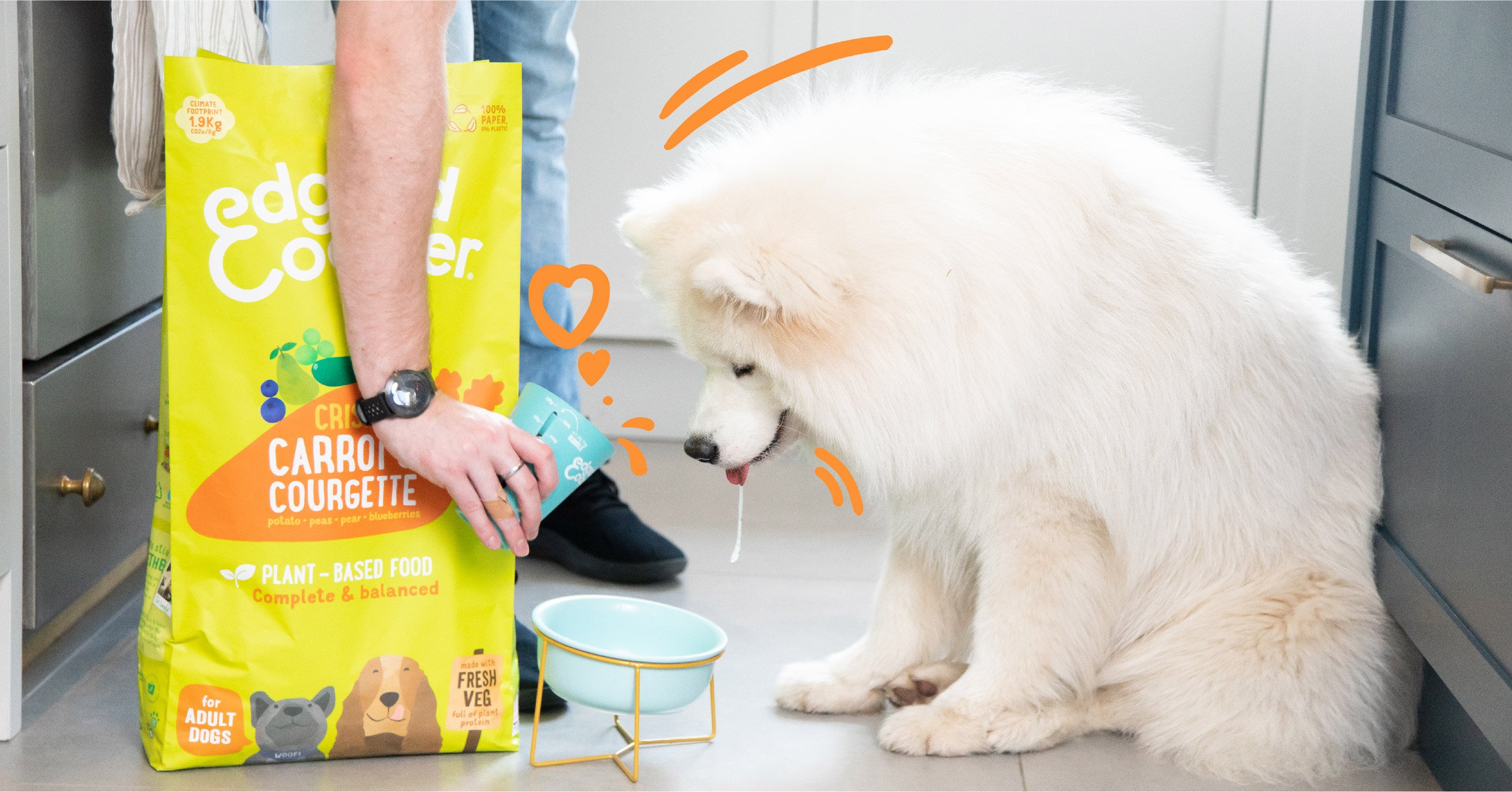 How To Introduce Plant Based Recipes Into Your Dog S Diet Edgard Cooper