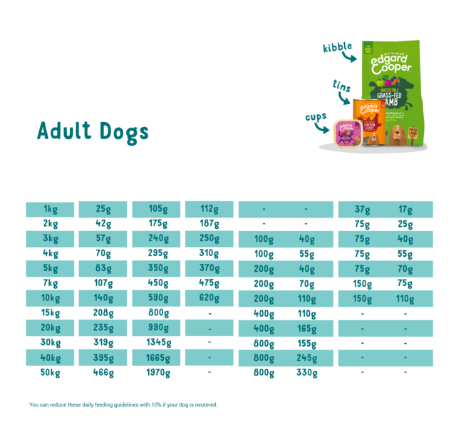 Feeding guidelines - Dog - Adult - EN