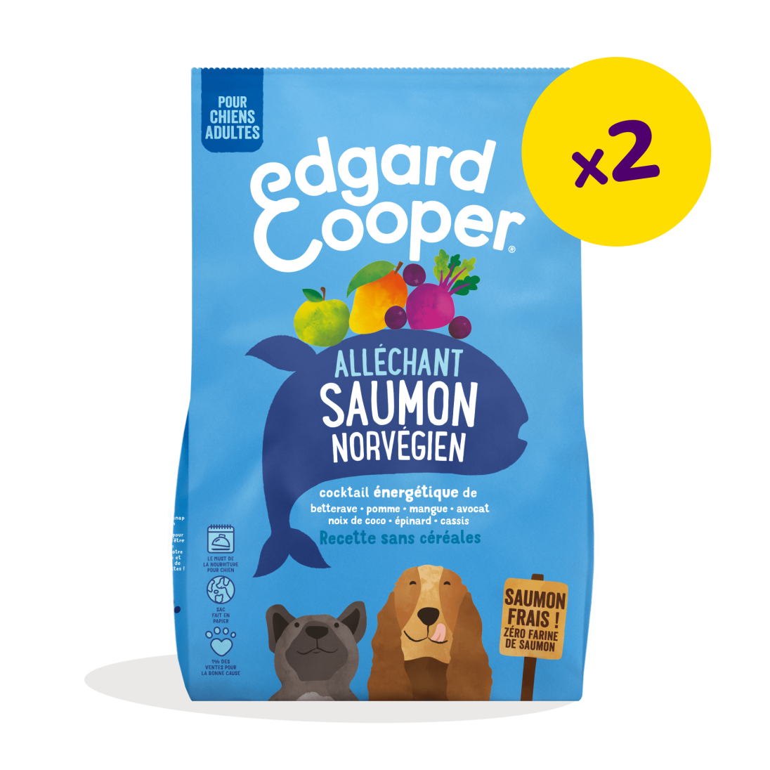 Dog Adult Kibble Salmon X2 - FR