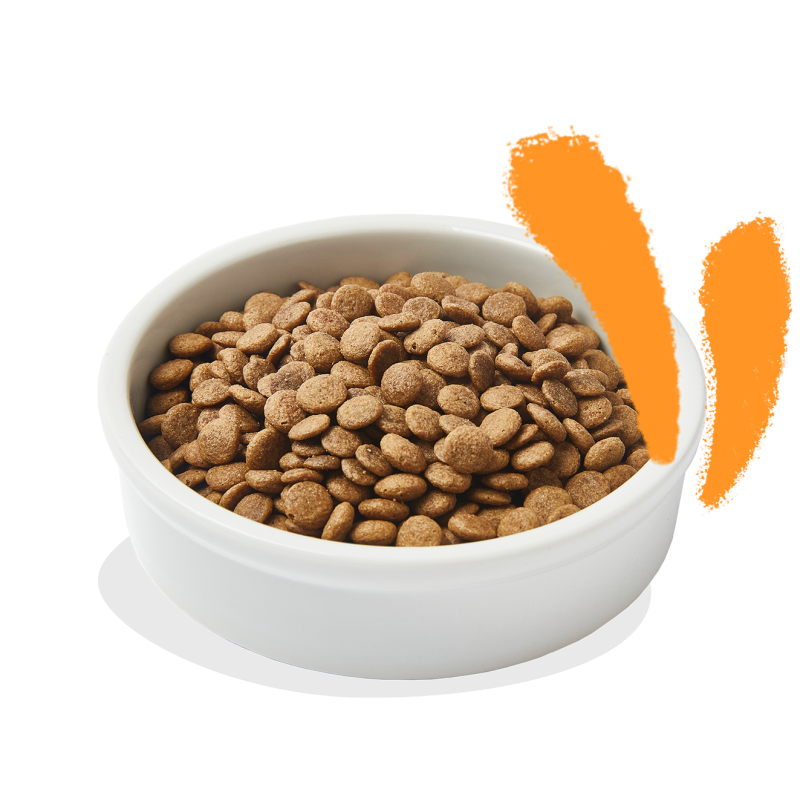 Edgard & Cooper Comida Húmeda Gatos Esterilizados o Activos Gato Adulto  Trozos en Salsa Natural Sin Cereales Latas 85g x 18 (Pollo, 85g x 18) :  : Productos para mascotas
