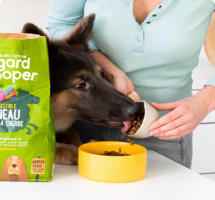 Hund frisst Trockenfutter von Edgard & Cooper