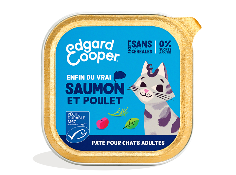 Pack - Cat Adult Pate Salmon Chicken FR