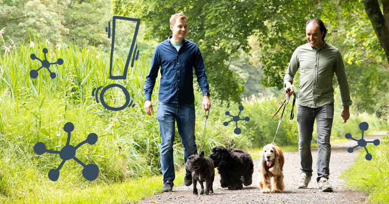 Image of dogs Edgard, Cooper & Myles walking with their owners in nature.