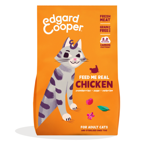 Pack - Cat Adult Kibble Chicken EN