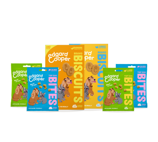 Dog Treats Bundle - Bites & Biscuits - EN