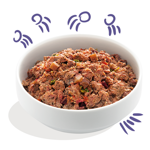 Product - Dog - Tin - Beef