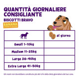 Feeding guidelines - DOG_JR-AD-SR_BISCUIT_BANANA10-PEANUT1 - IT