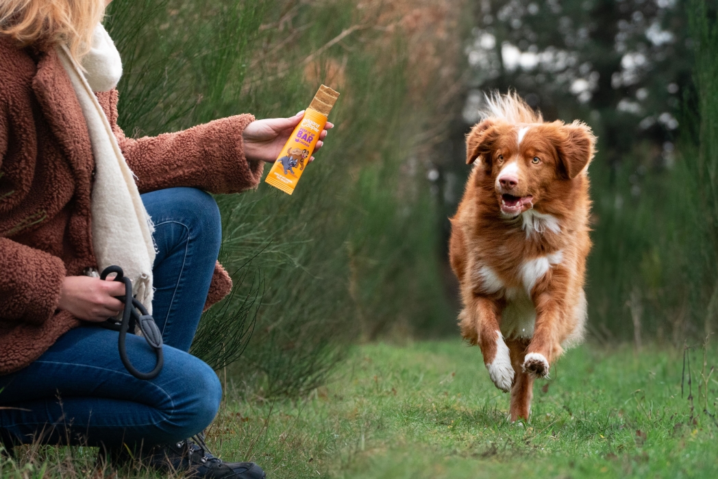 Lifestyle - Dog All Bar Chicken EN