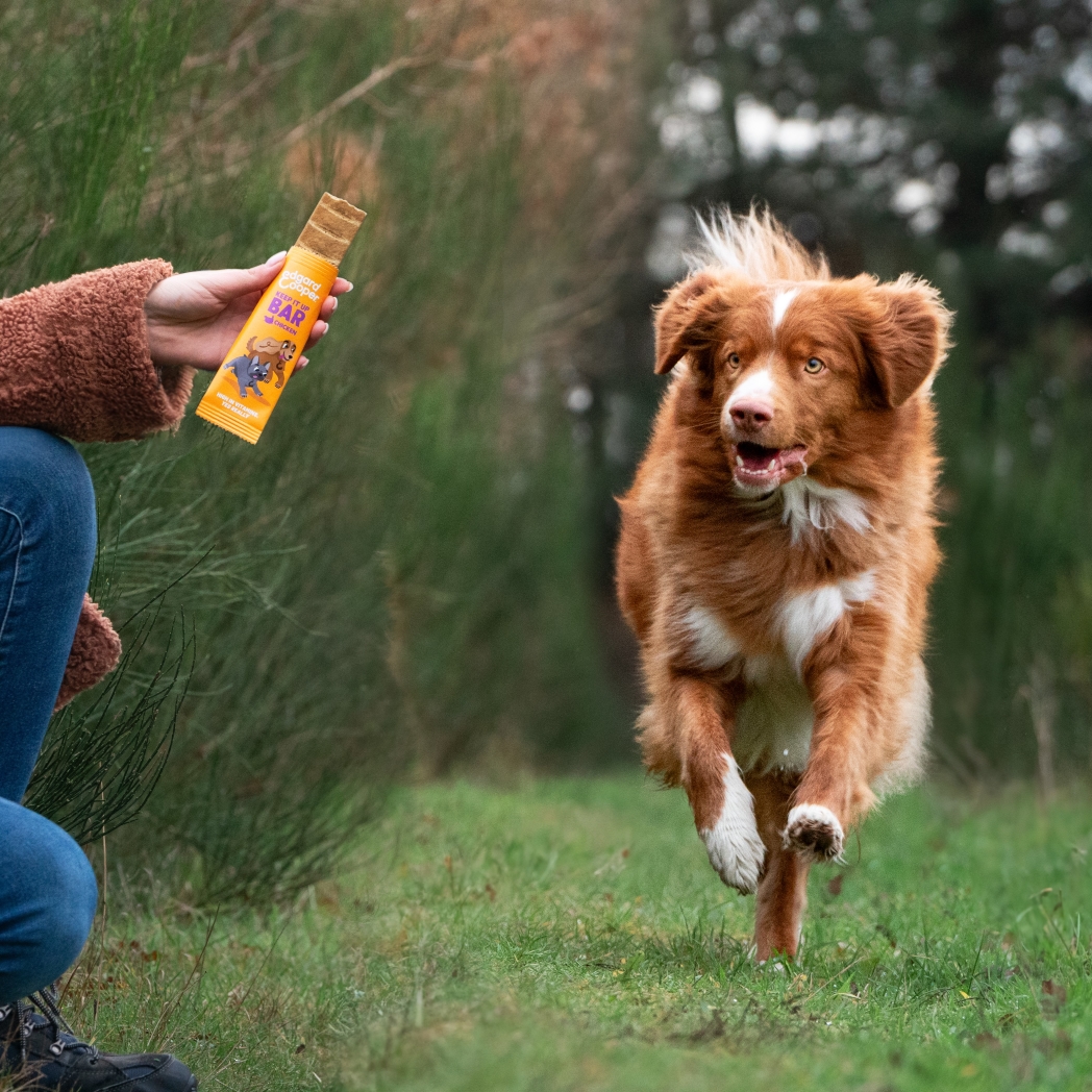 Lifestyle - DOG_JR-AD-SR_BAR_CHICKEN40_BAG_30G_X1